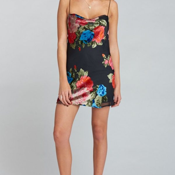 Midnight Fiesta Burnout Velvet