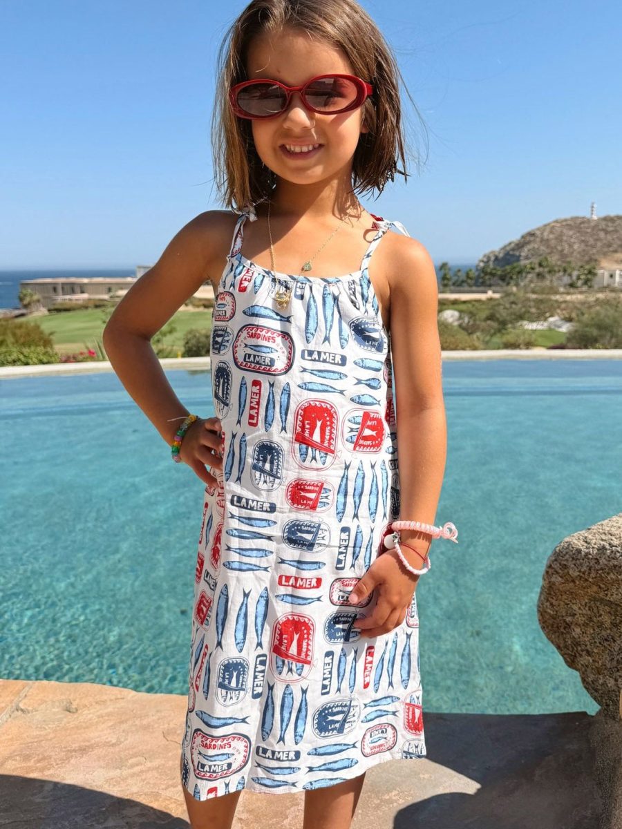 Sidekick Dress ~ Sardine Border