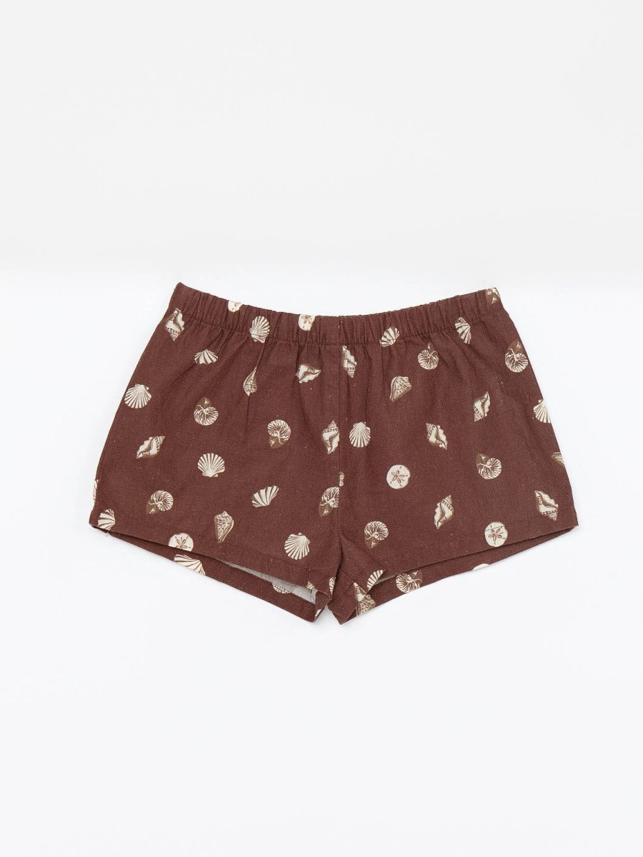 Little Shells Set ~ Cocoa Coast
