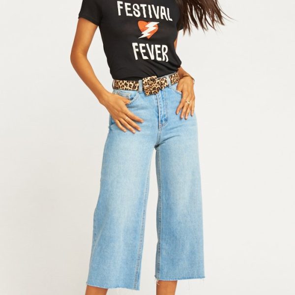 Festival Fever