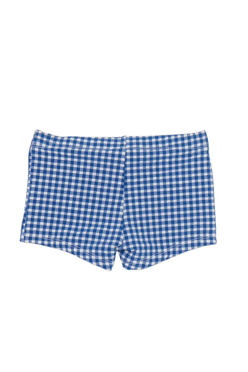Lil Dude Shorts ~ Blueberry Gingham