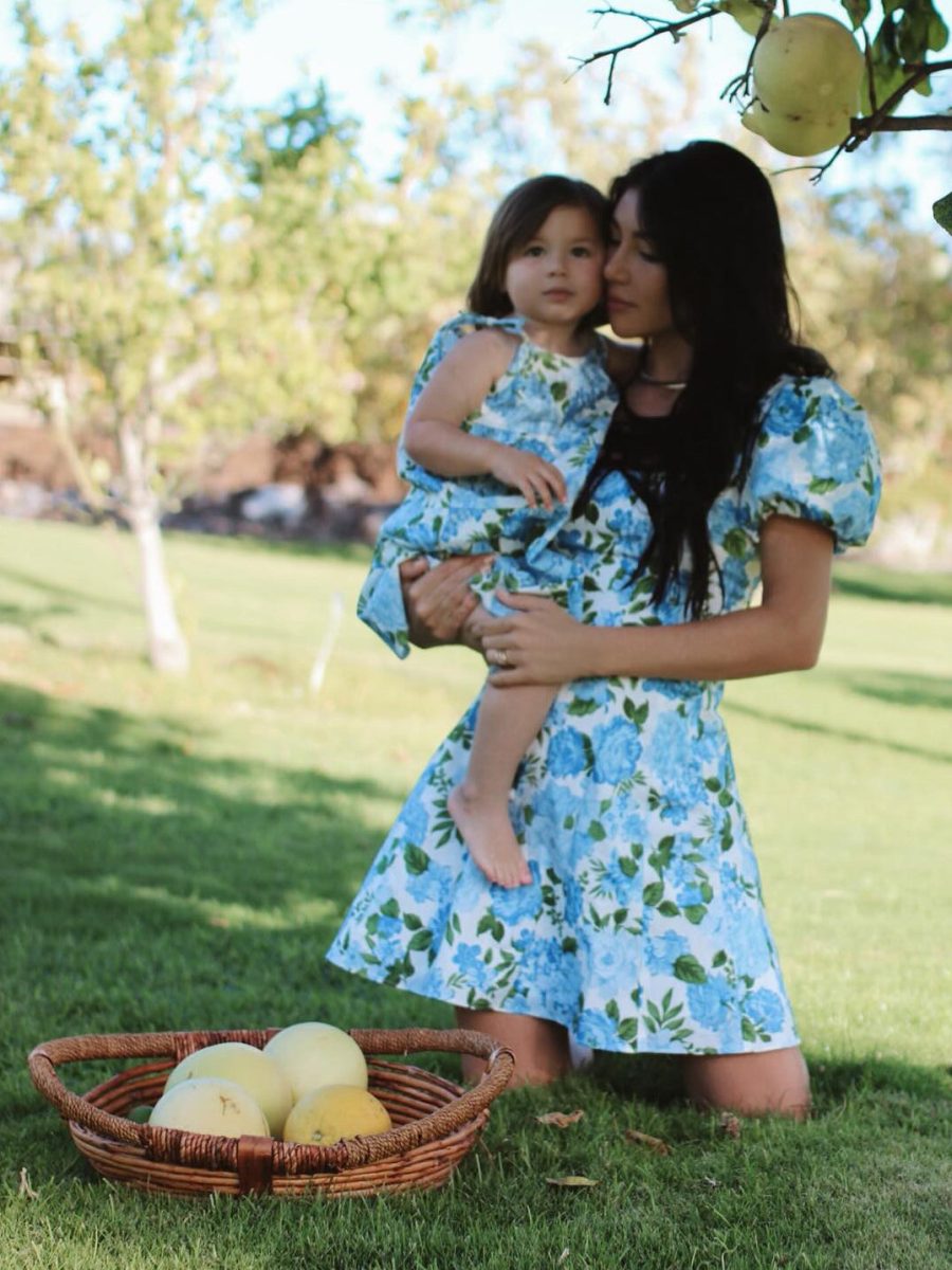 Mia Dress ~ Cottage Floral Blue