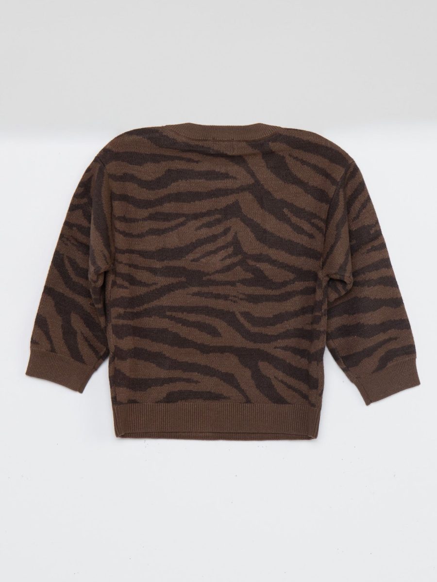 Little Seasons Sweater ~ Wild Tiger Graphic Knit