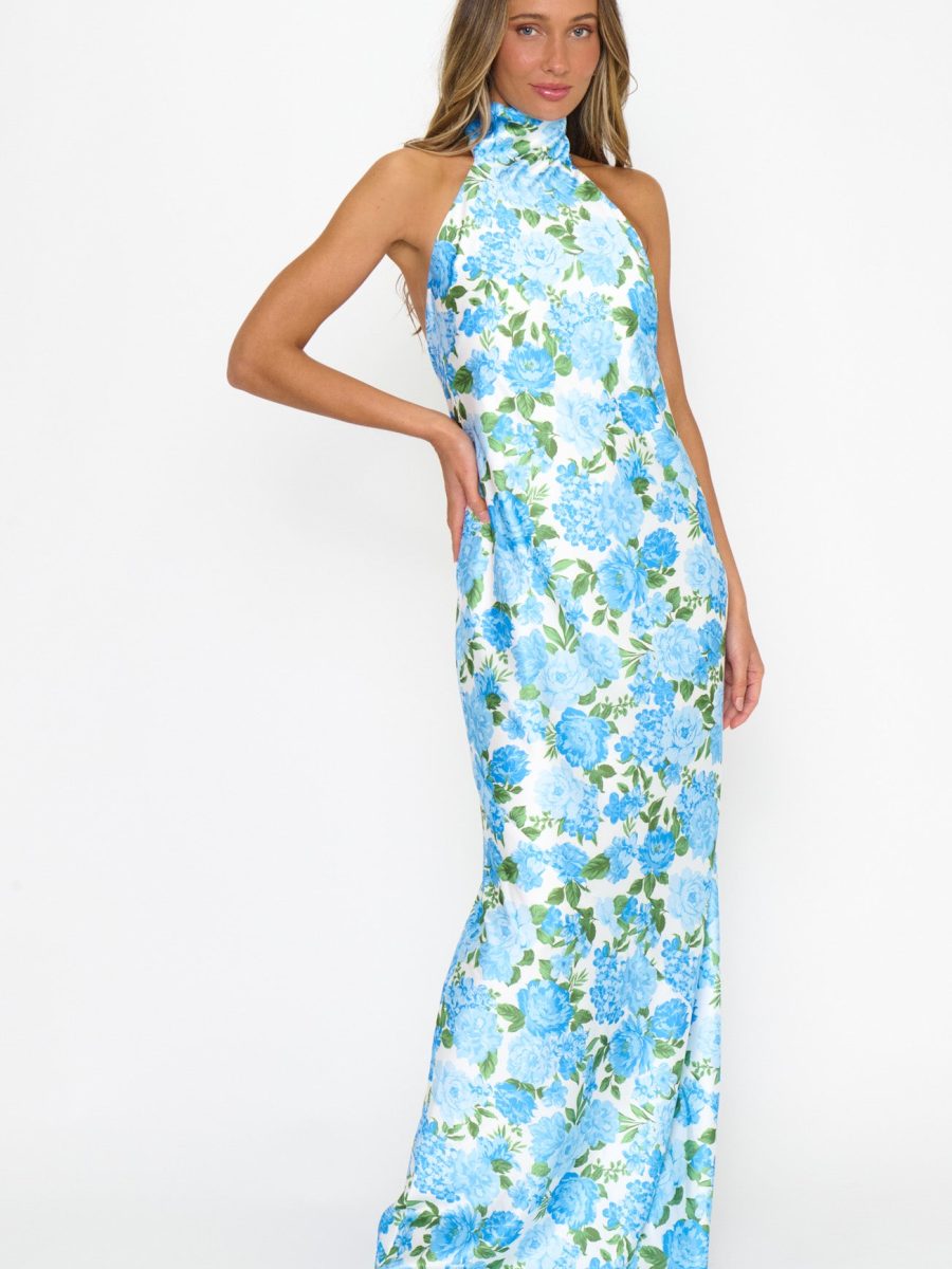 Lisa Maxi Dress ~ Cottage Floral Blue