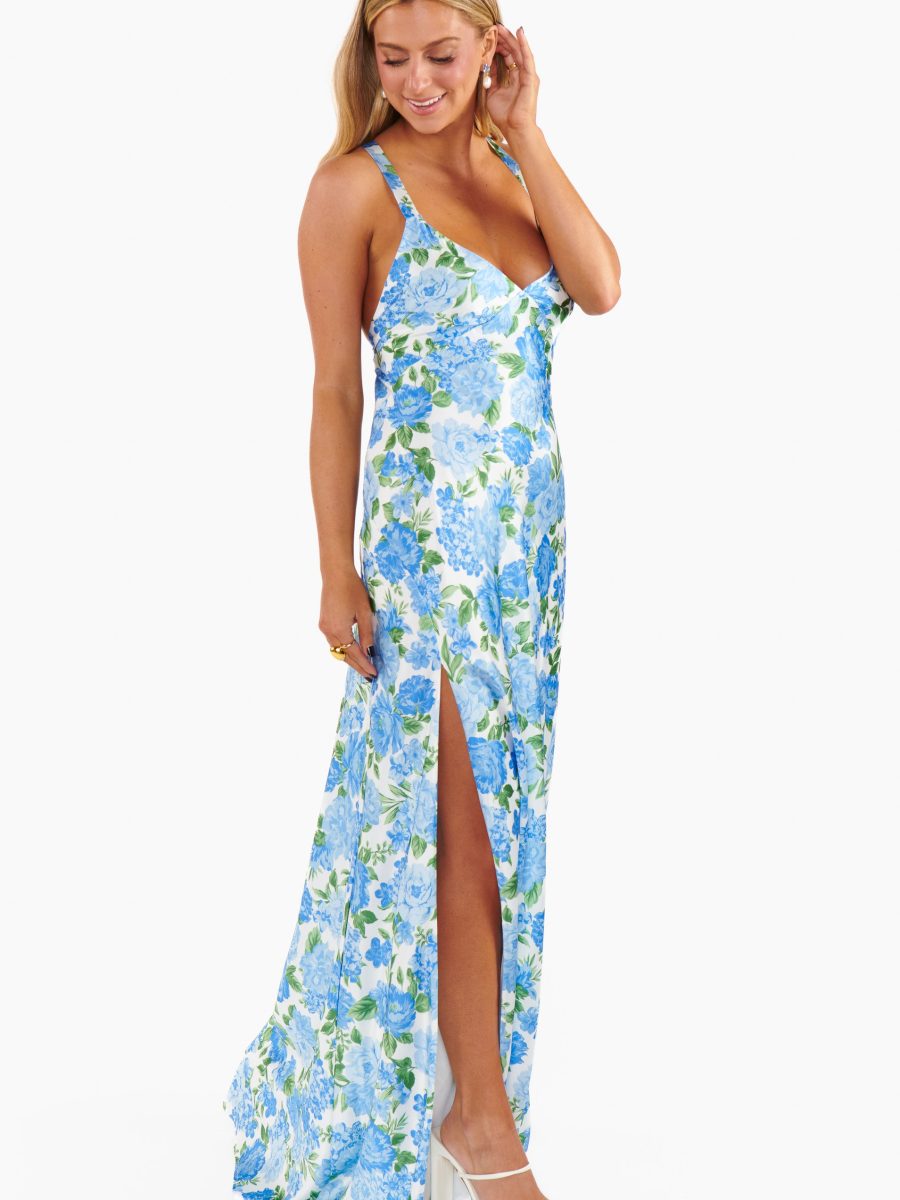Anderson Maxi Dress ~ Cottage Floral Blue