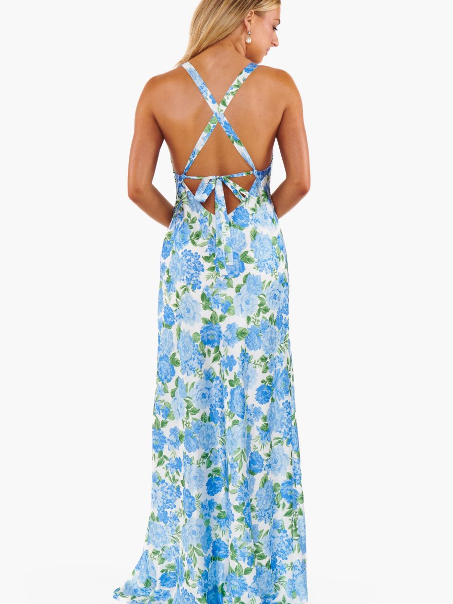 Anderson Maxi Dress ~ Cottage Floral Blue