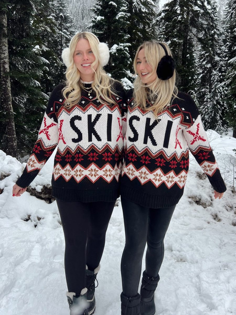 Ski In Sweater ~ Ski Knit