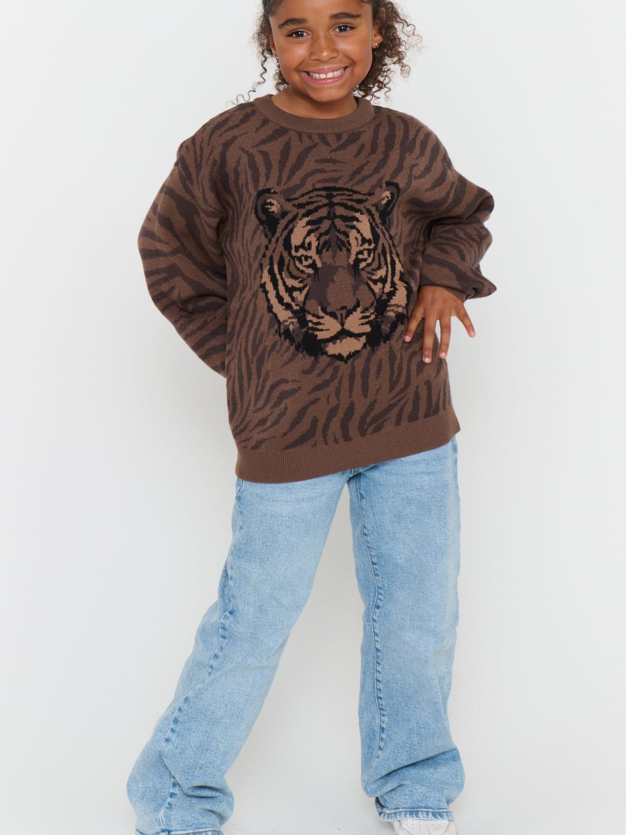 Little Seasons Sweater ~ Wild Tiger Graphic Knit