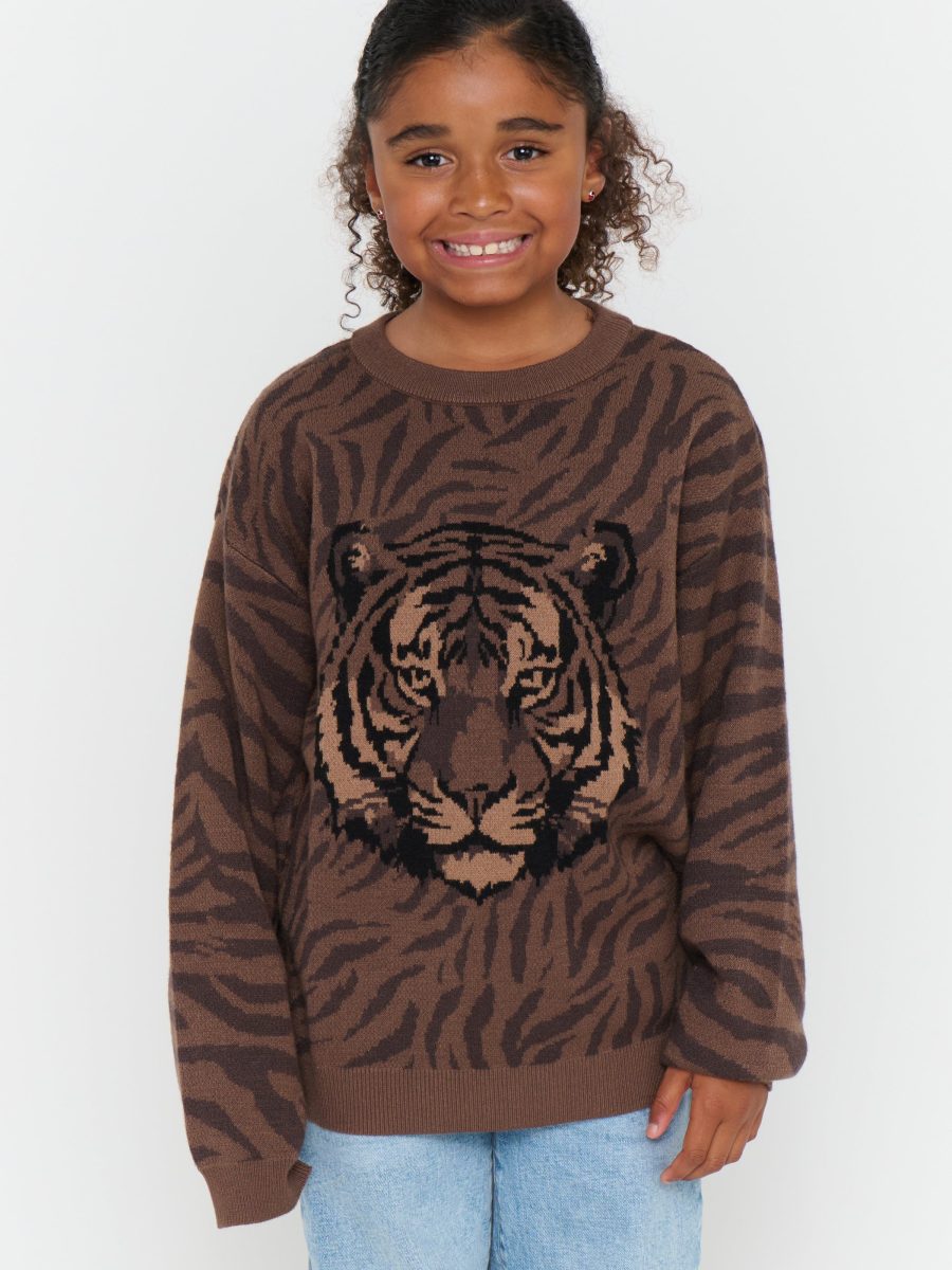 Little Seasons Sweater ~ Wild Tiger Graphic Knit