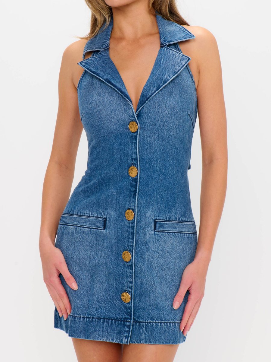 Darien Dress ~ Bluebird
