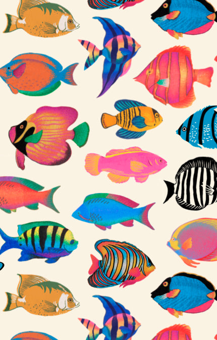 Lil Button Up Shirt ~ Rainbow Reef