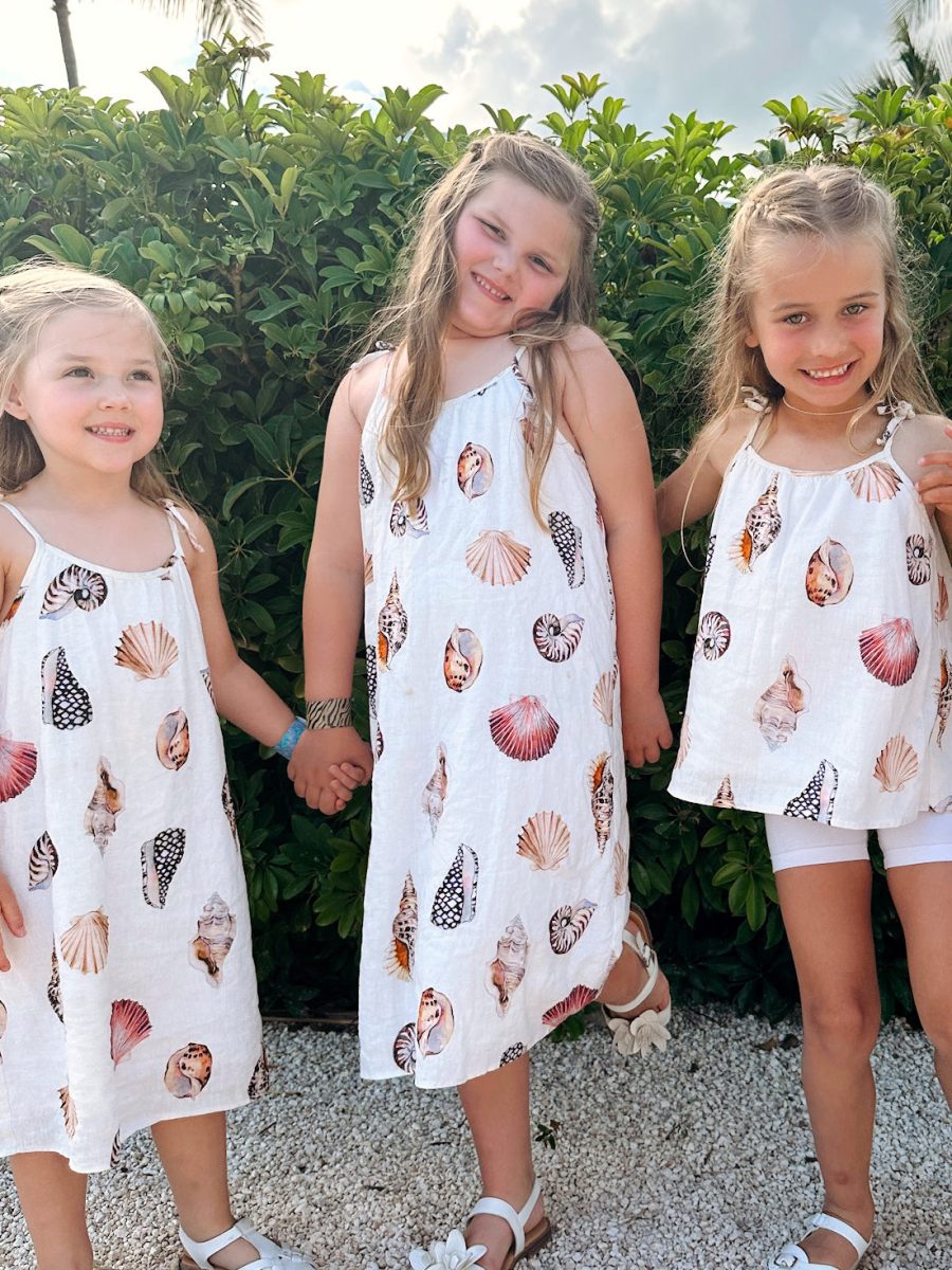 Sidekick Dress ~ Shell Linen