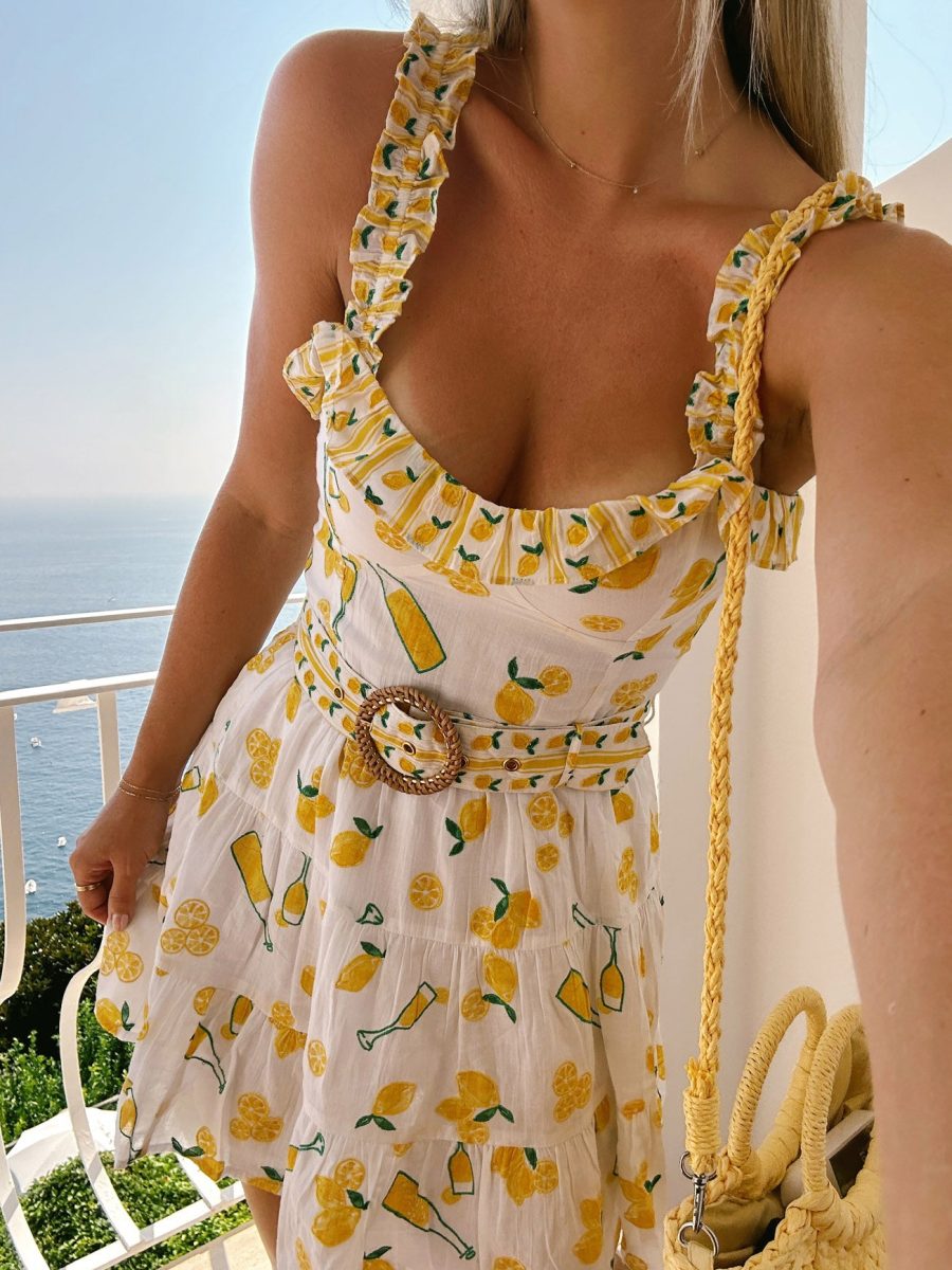 Jolene Mini Dress ~ Limoncello Embroidery
