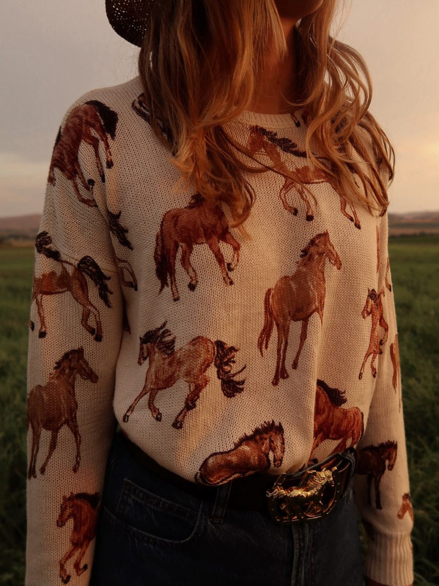 Bonfire Sweater ~ Wild Horses Knit