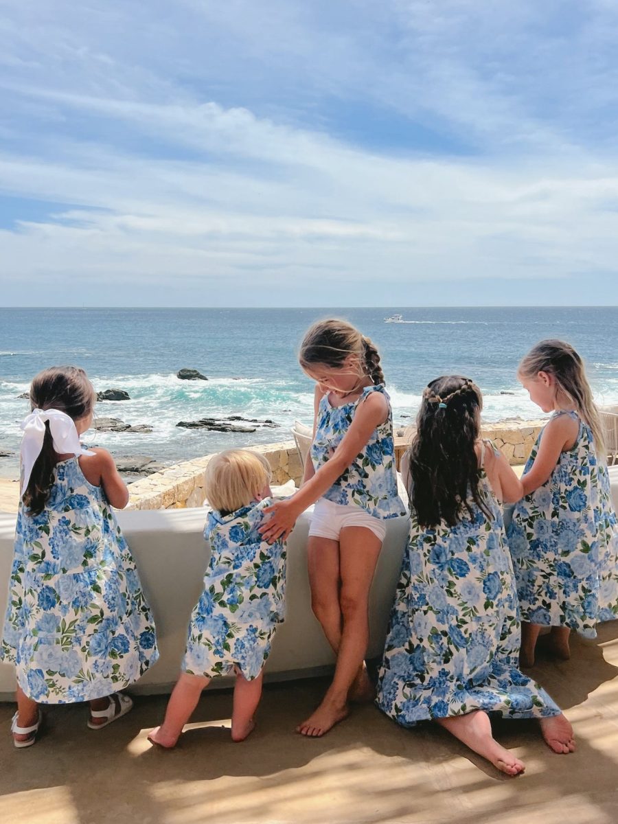 Pia Dress ~ Cottage Floral Blue