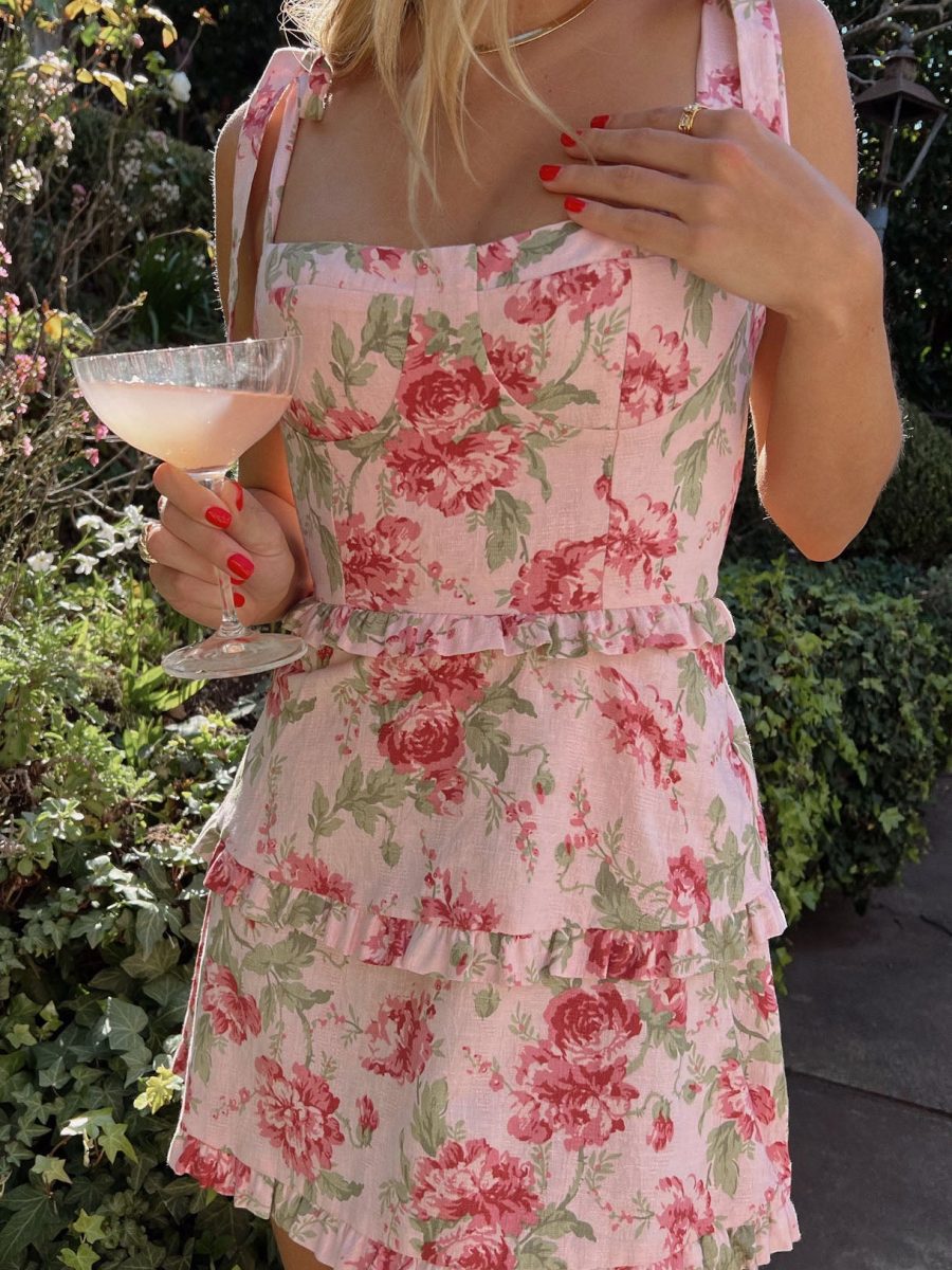 Lady Corset Mini Dress ~ Garden Romantic