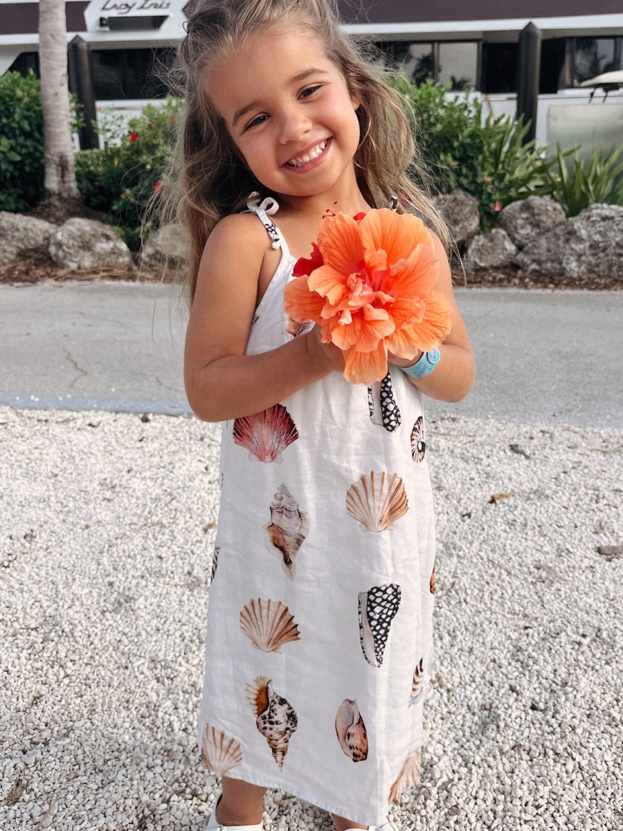 Sidekick Dress ~ Shell Linen