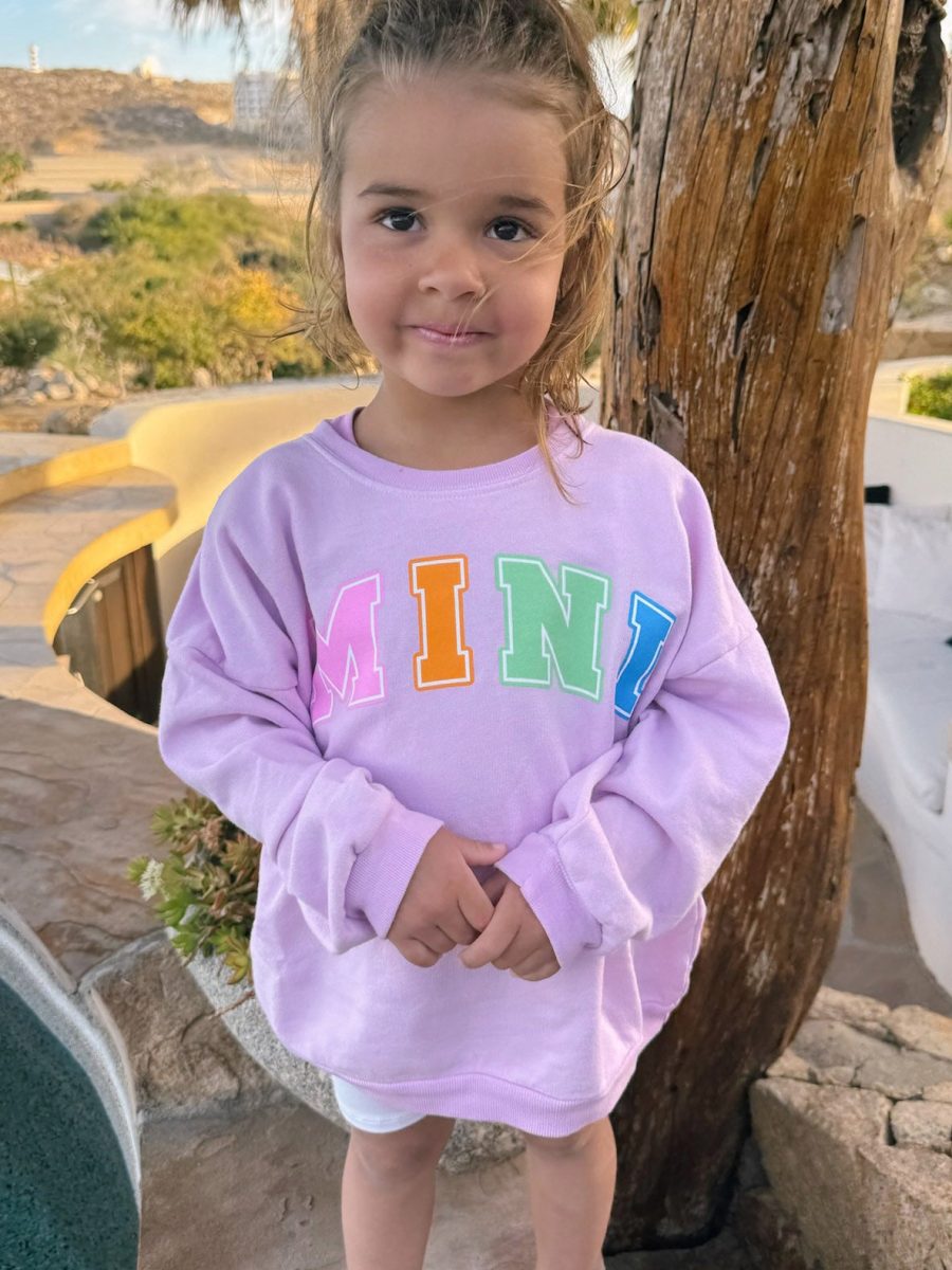 Davis Sweatshirt ~ Pink Mini Graphic