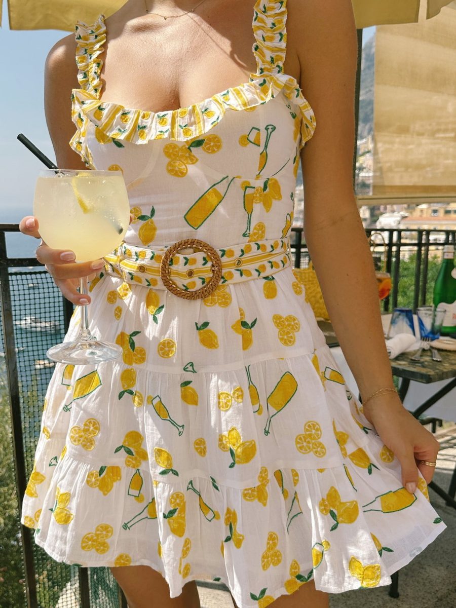 Jolene Mini Dress ~ Limoncello Embroidery