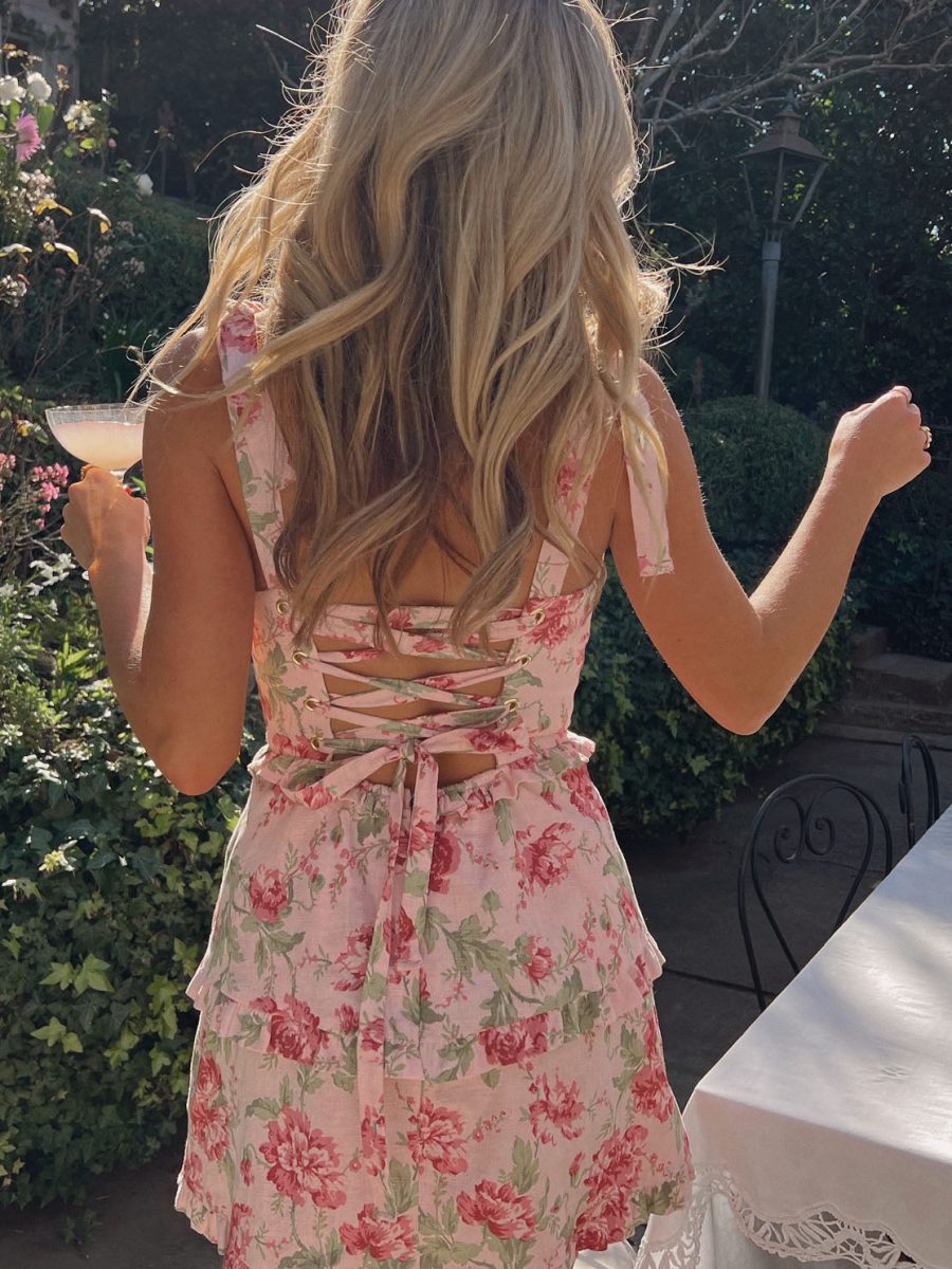 Lady Corset Mini Dress ~ Garden Romantic