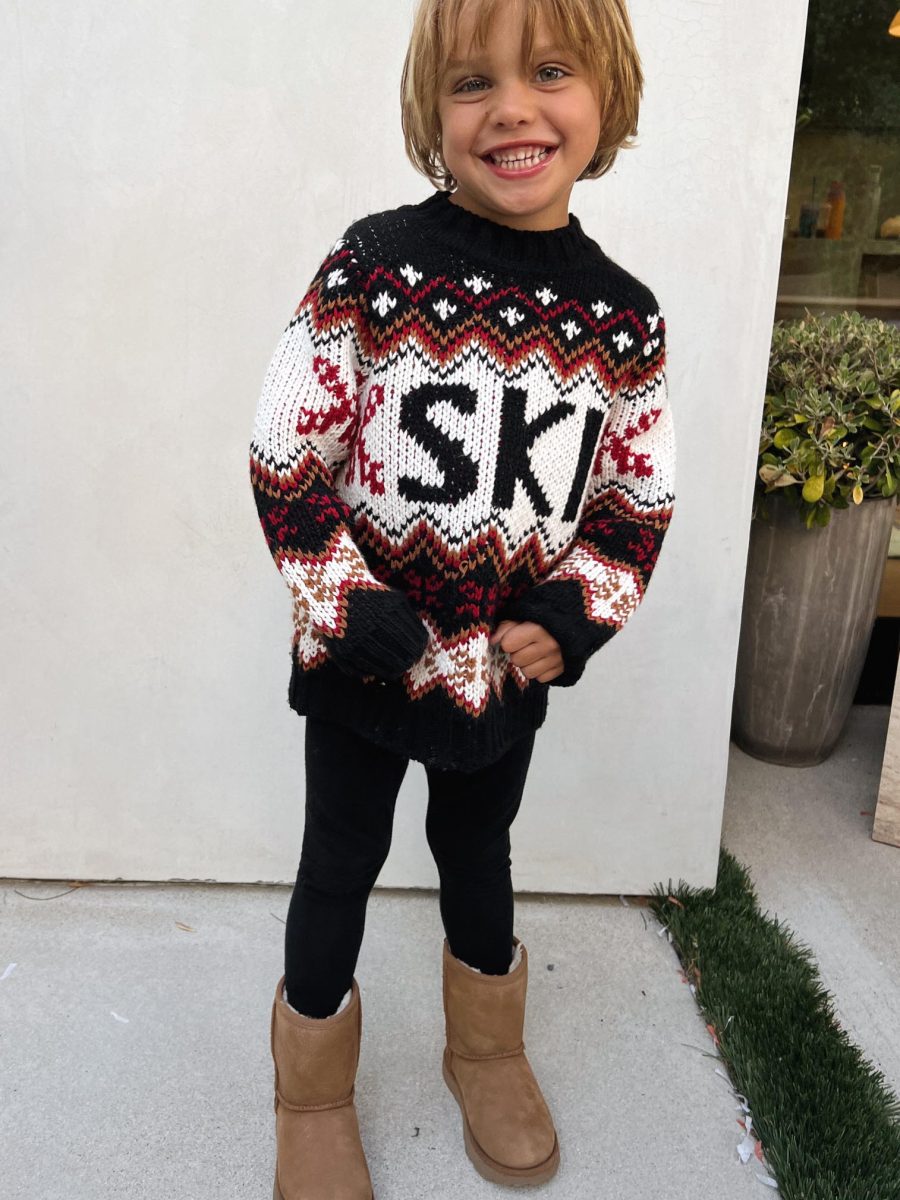 Mini Ski In Sweater ~ Ski Knit