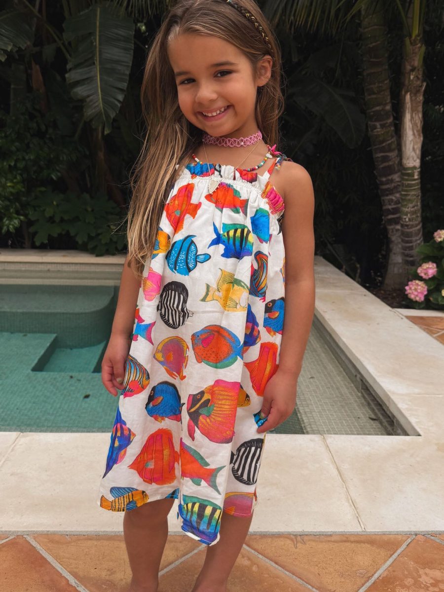 Little Angel Mini ~ Rainbow Reef